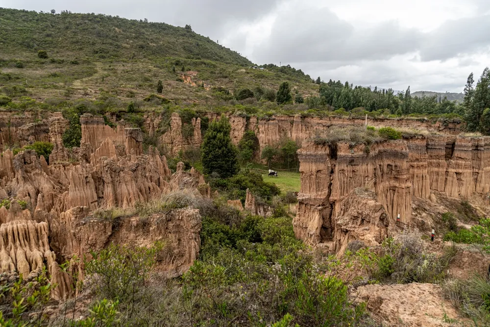 Vista de las rocas del Desierto de la Tatacoita