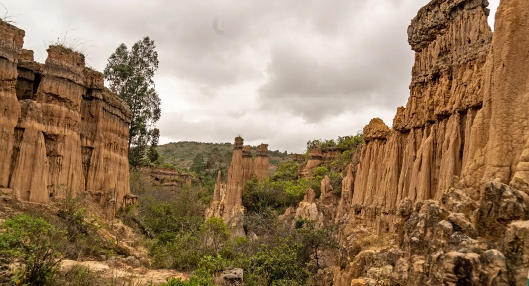 Vistas de las rocas en el Desierto de la Tatacoita