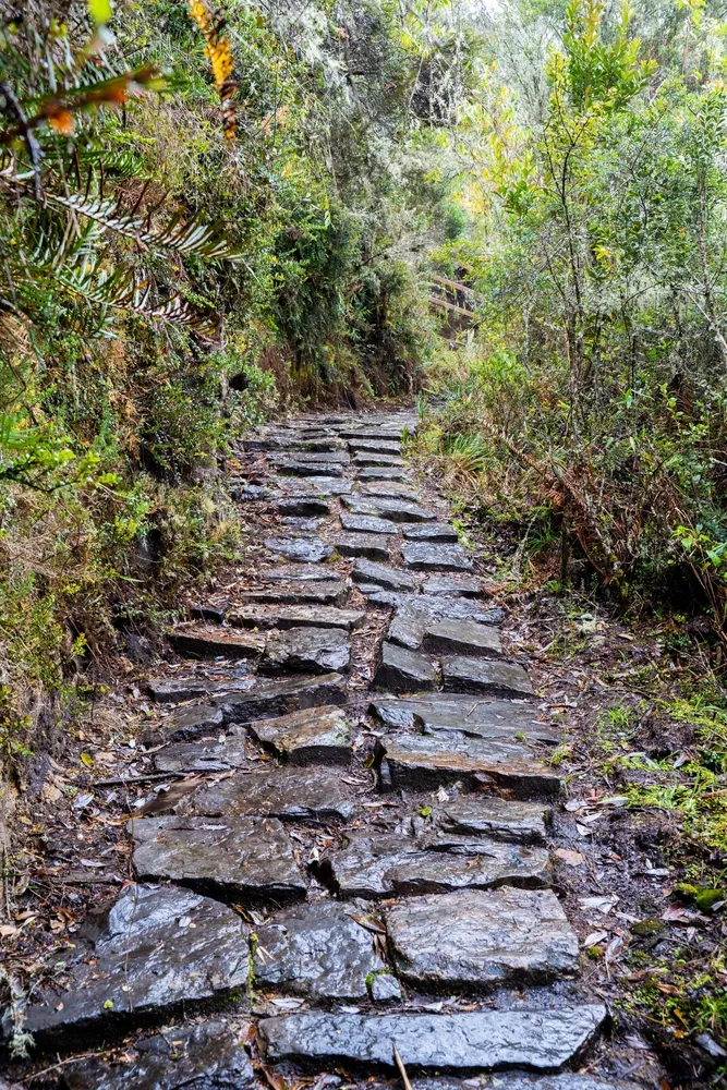 Sendero de piedra Páramo de Guacheneque