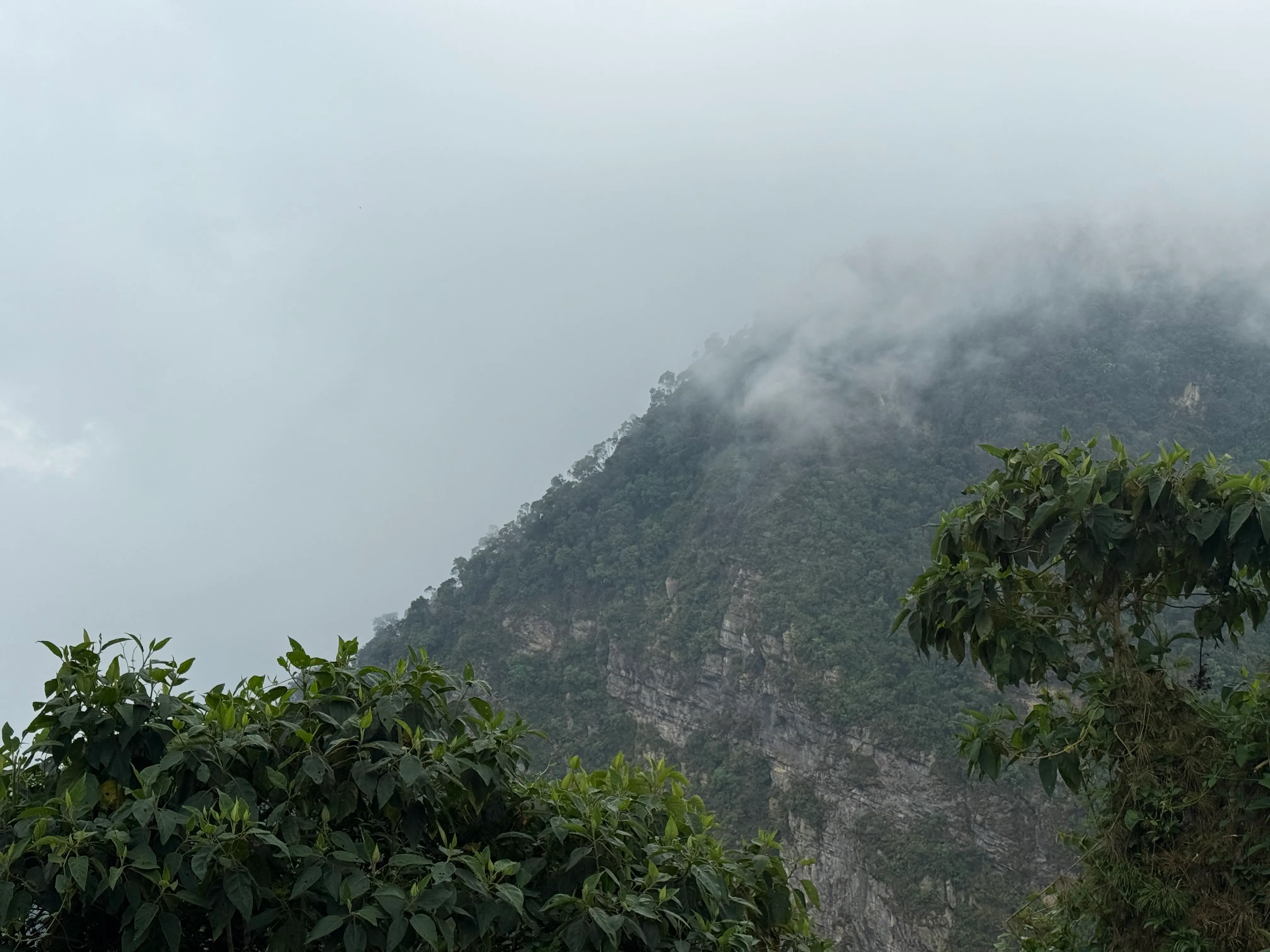 Vista del Parque Natural Chicaque