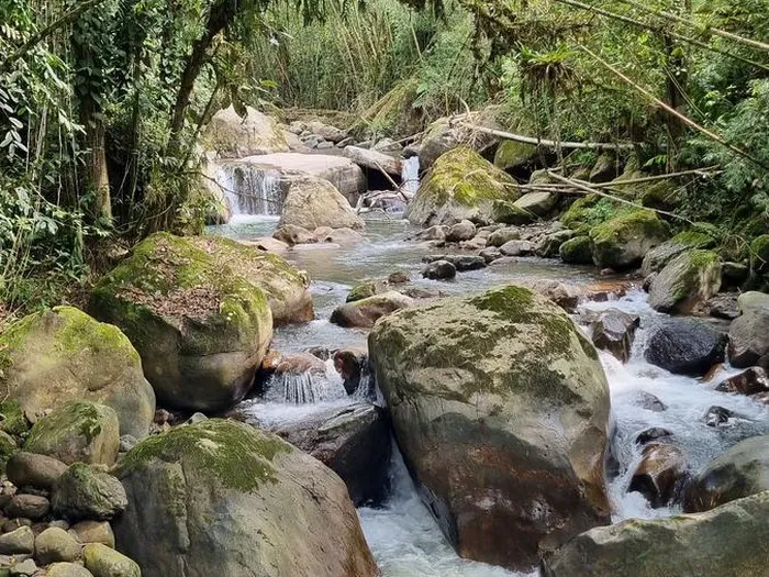 rio guane