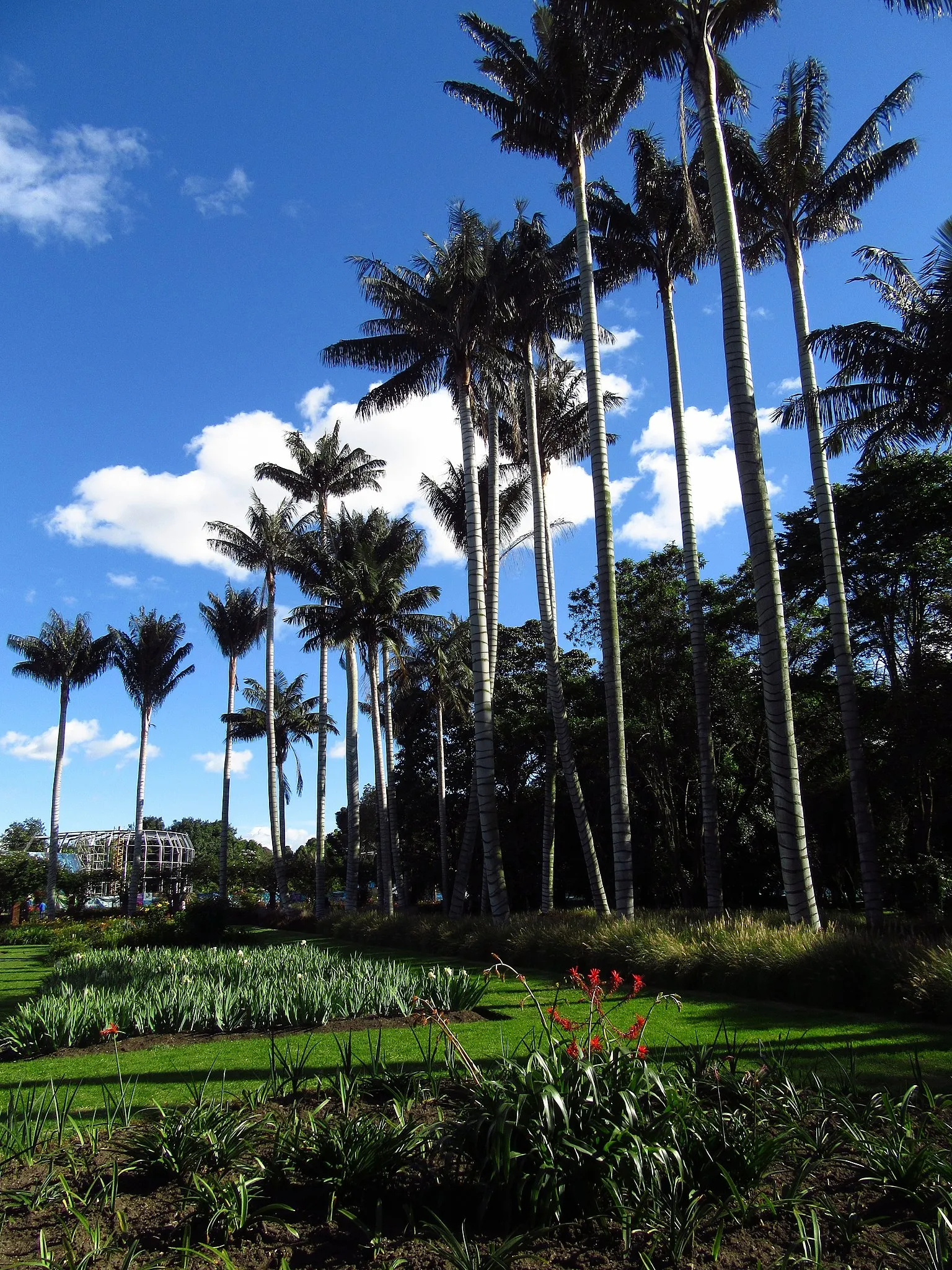 jardin botanico