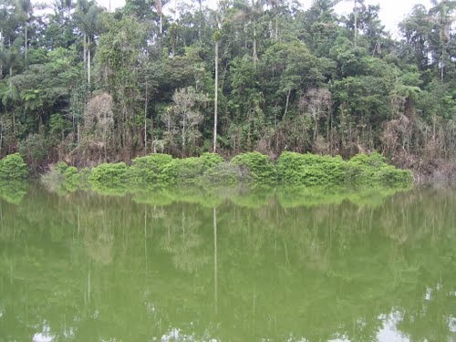 laguna verde
