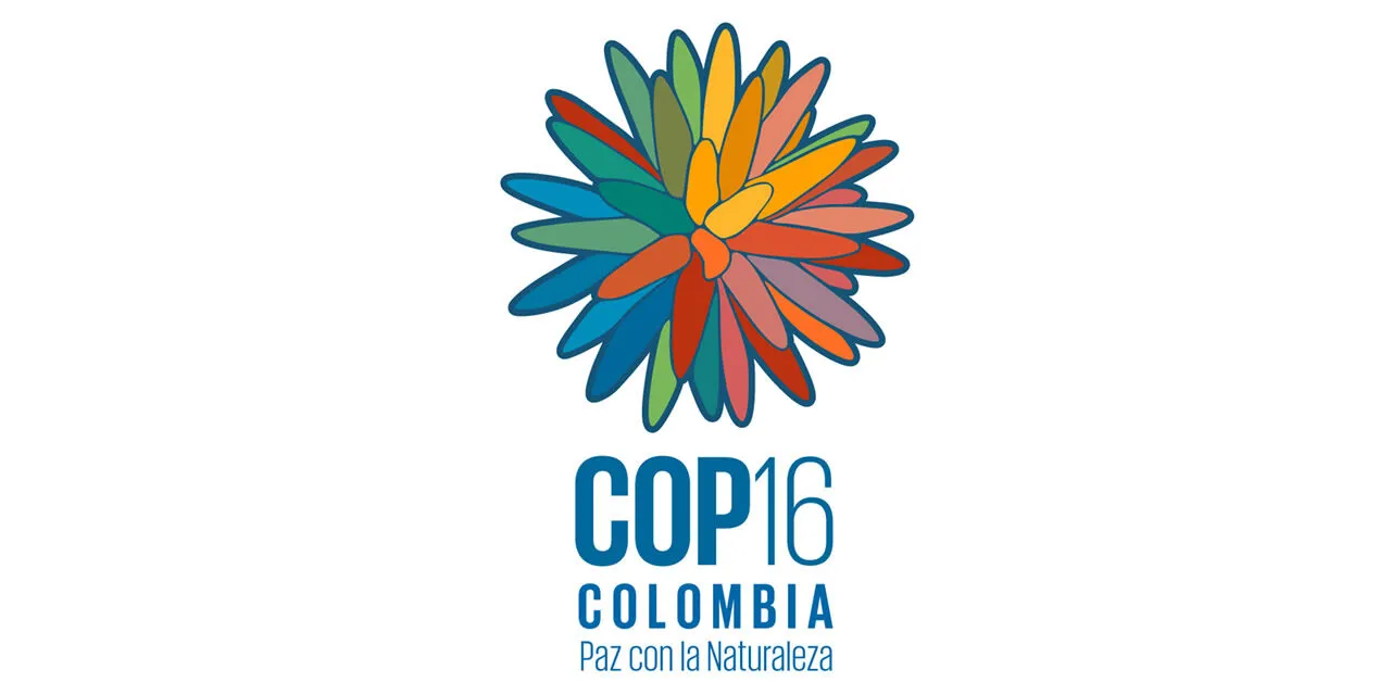 que es la cop16