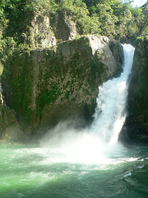 salto jimenoa